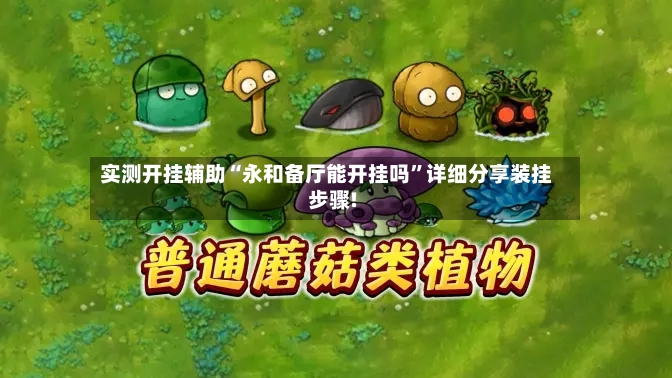 实测开挂辅助“永和备厅能开挂吗”详细分享装挂步骤!