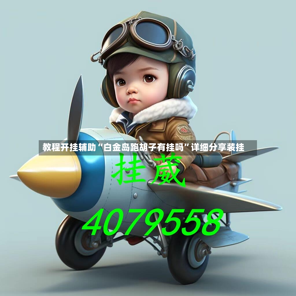 教程开挂辅助“白金岛跑胡子有挂吗	”详细分享装挂-第2张图片
