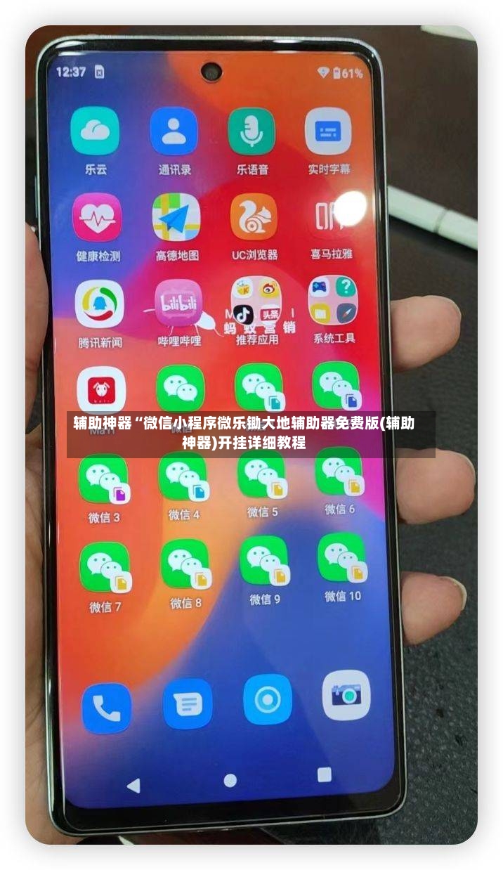 辅助神器“微信小程序微乐锄大地辅助器免费版(辅助神器)开挂详细教程-第2张图片