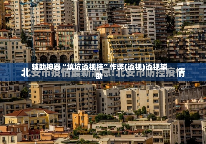 辅助神器“填坑透视挂”作弊(透视)透视辅助-第3张图片