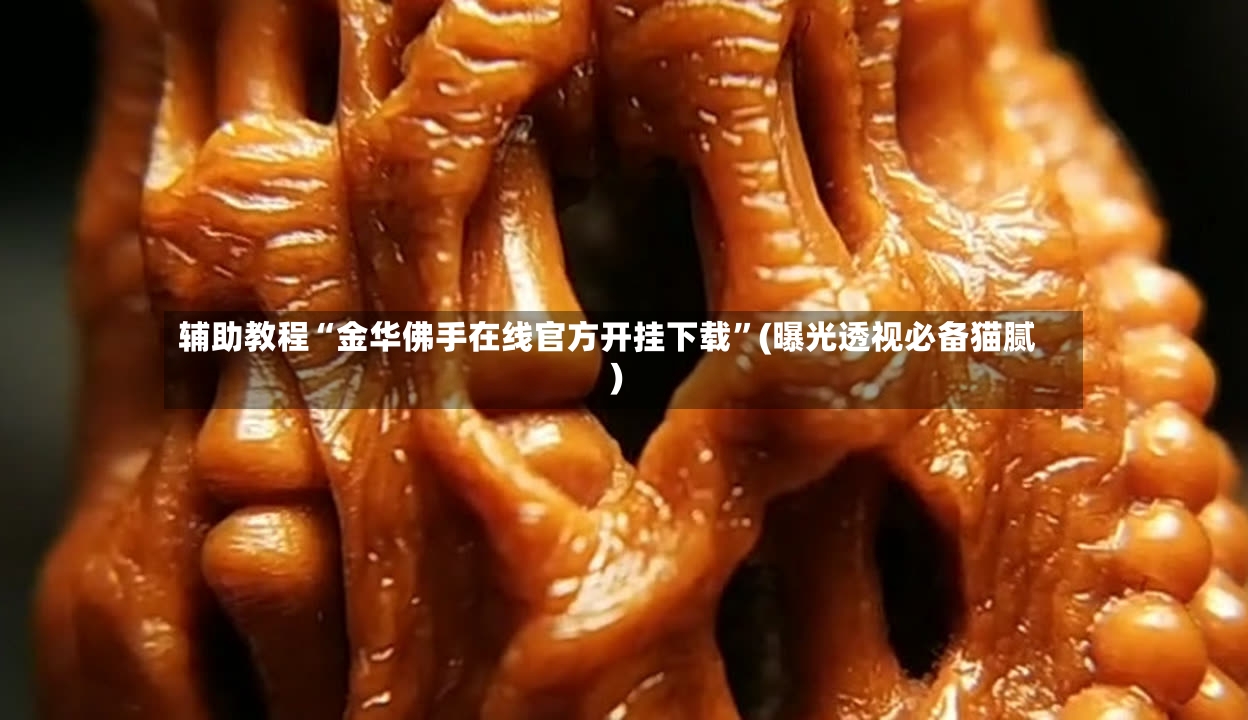 辅助教程“金华佛手在线官方开挂下载”(曝光透视必备猫腻)-第2张图片