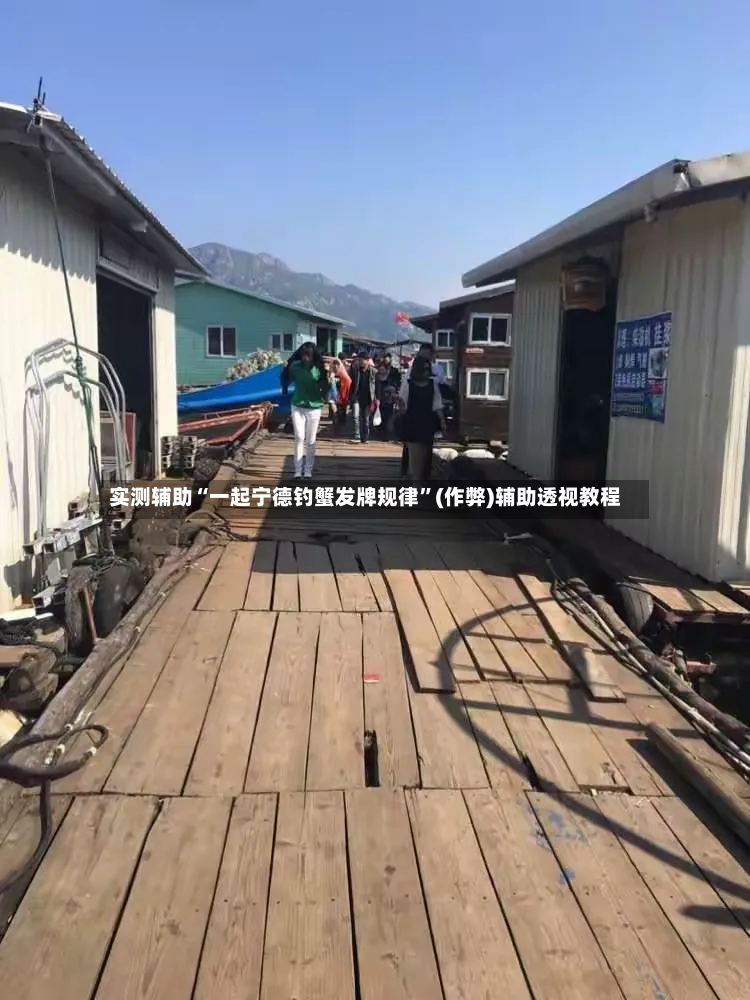 实测辅助“一起宁德钓蟹发牌规律”(作弊)辅助透视教程
