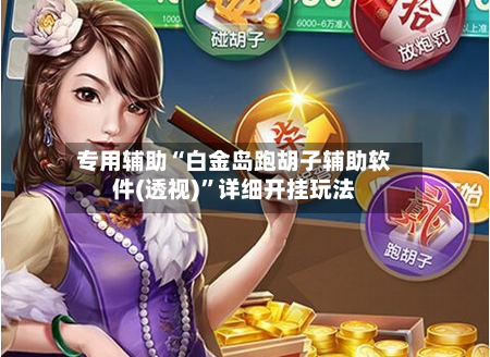 专用辅助“白金岛跑胡子辅助软件(透视)”详细开挂玩法-第3张图片