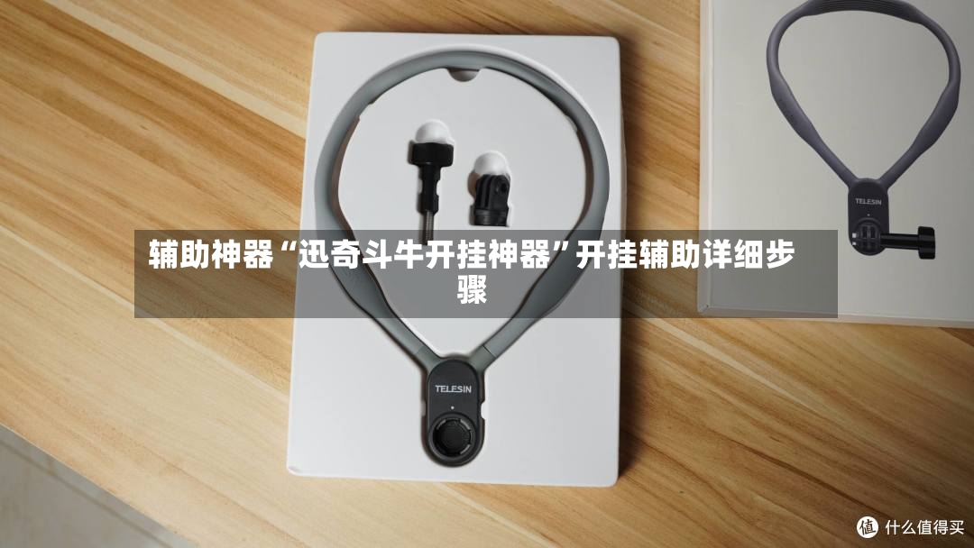 辅助神器“迅奇斗牛开挂神器”开挂辅助详细步骤
