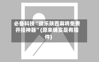 必备科技“微乐陕西麻将免费开挂神器”(原来确实是有插件)-第2张图片