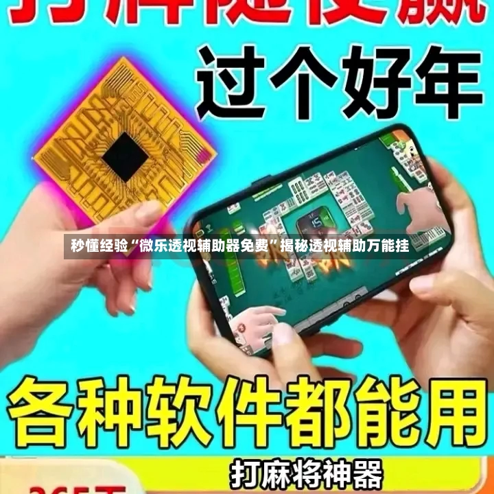 秒懂经验“微乐透视辅助器免费	”揭秘透视辅助万能挂-第2张图片