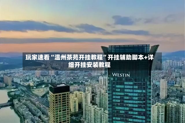 玩家速看“温州茶苑开挂教程”开挂辅助脚本+详细开挂安装教程-第3张图片