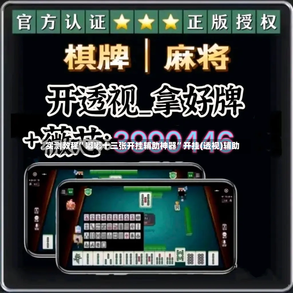 实测教程	”嘟嘟十三张开挂辅助神器”开挂(透视)辅助-第3张图片