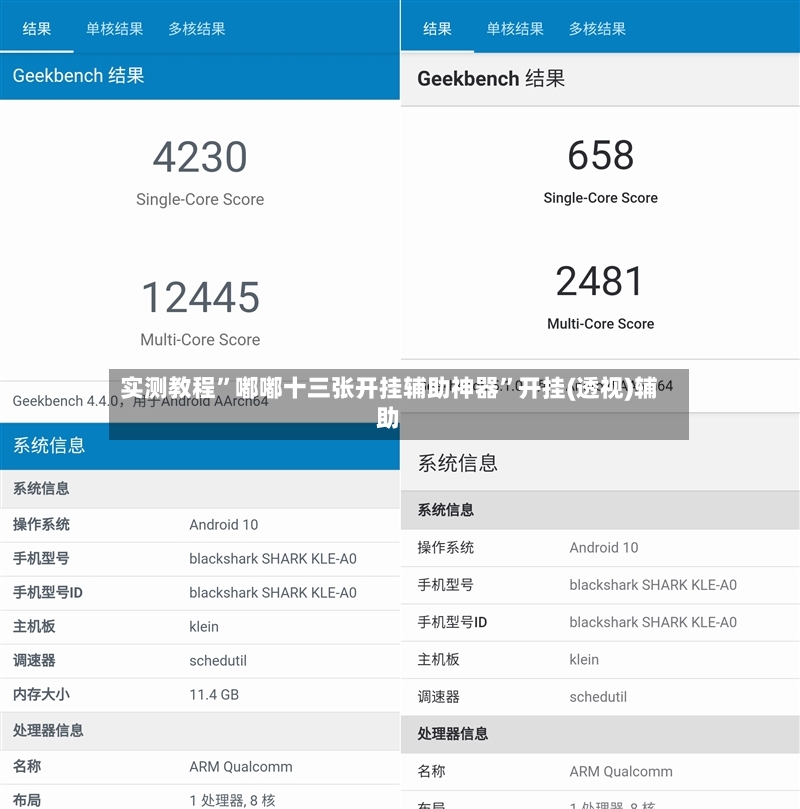 实测教程”嘟嘟十三张开挂辅助神器”开挂(透视)辅助