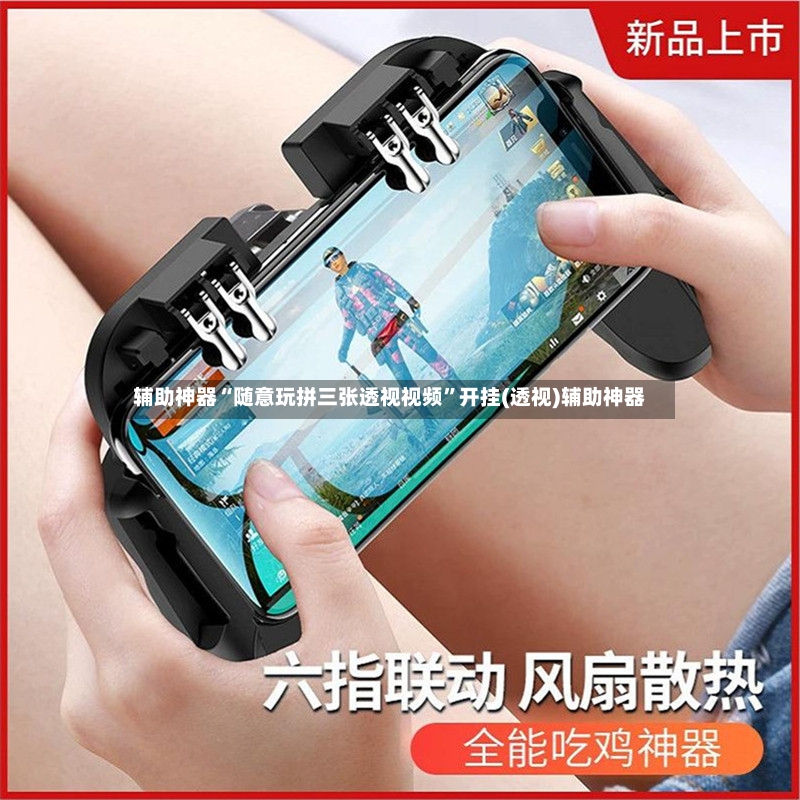 辅助神器“随意玩拼三张透视视频”开挂(透视)辅助神器