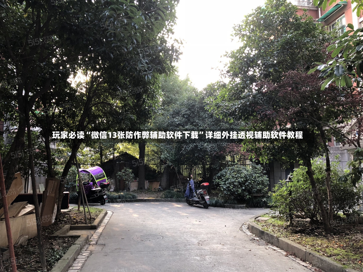 玩家必读“微信13张防作弊辅助软件下载”详细外挂透视辅助软件教程-第2张图片