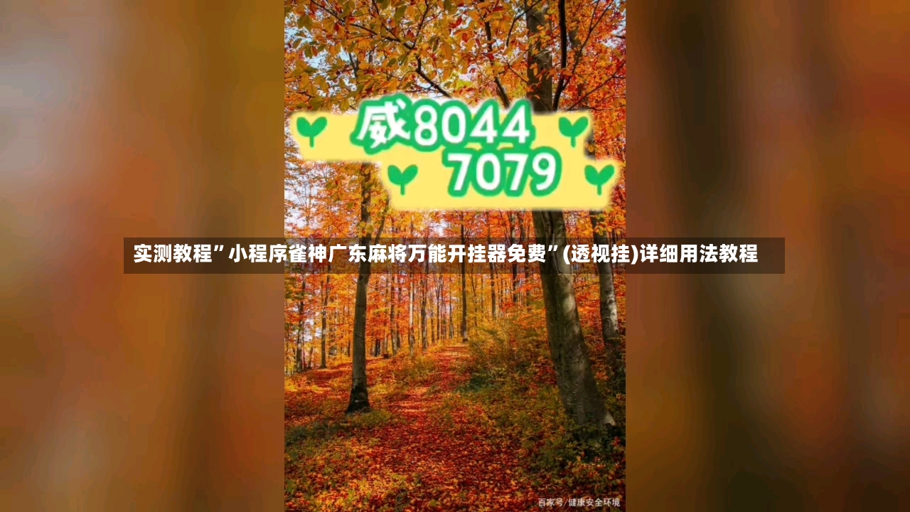 实测教程”小程序雀神广东麻将万能开挂器免费”(透视挂)详细用法教程