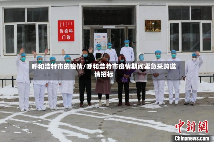 呼和浩特市的疫情/呼和浩特市疫情期间紧急采购邀请招标-第3张图片