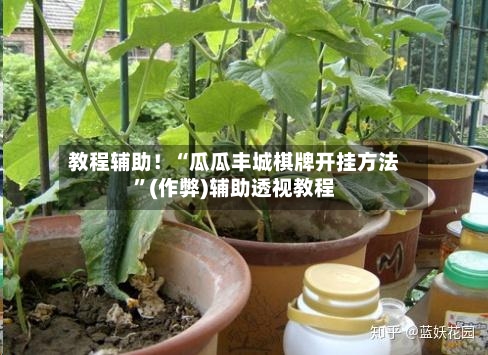 教程辅助！“瓜瓜丰城棋牌开挂方法	”(作弊)辅助透视教程-第2张图片