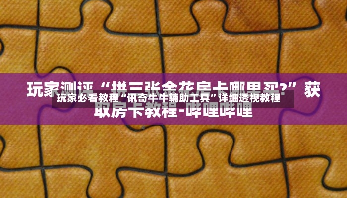 玩家必看教程“讯奇牛牛辅助工具”详细透视教程-第2张图片