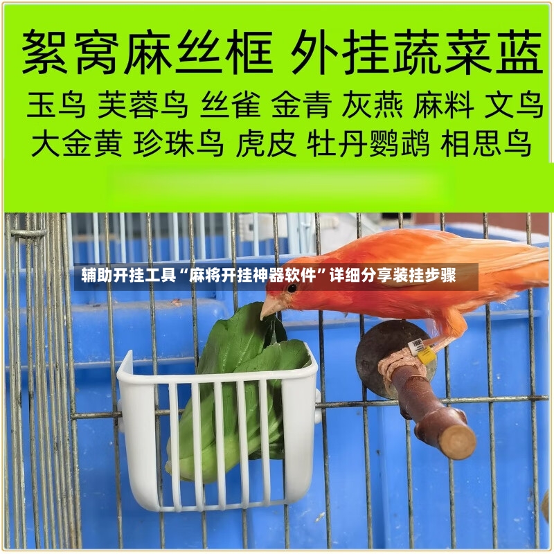 辅助开挂工具“麻将开挂神器软件”详细分享装挂步骤-第3张图片