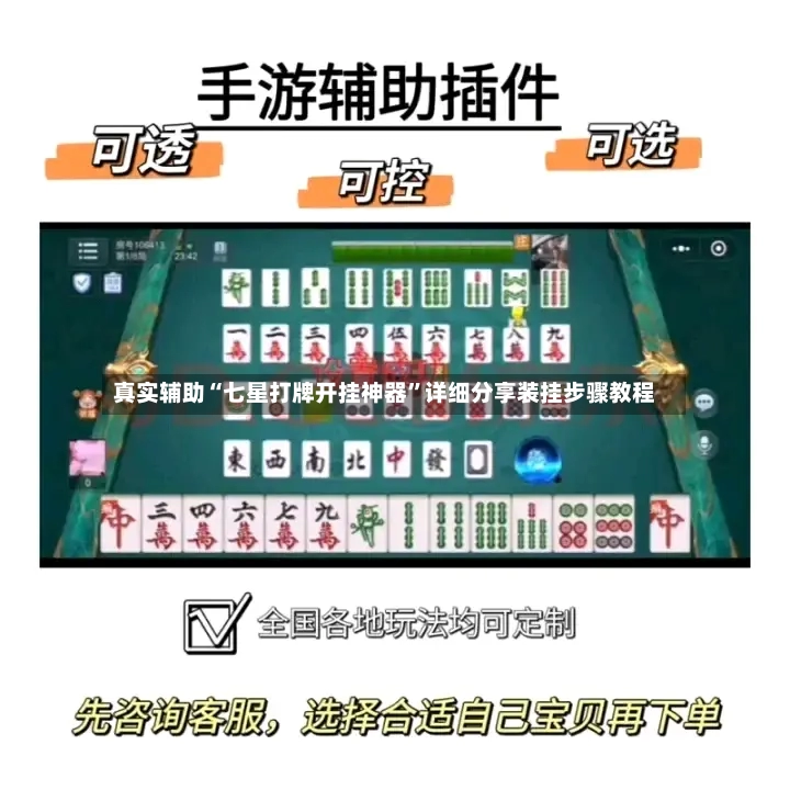 真实辅助“七星打牌开挂神器”详细分享装挂步骤教程-第3张图片