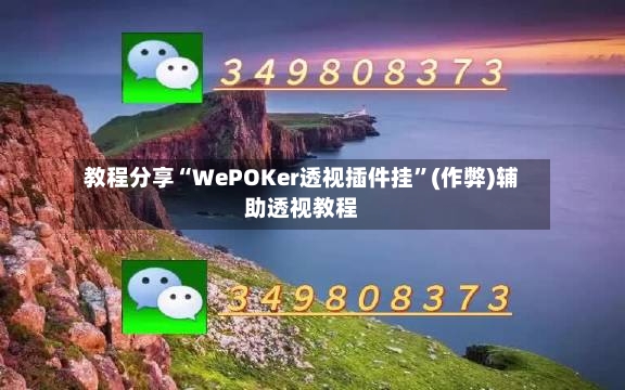 教程分享“WePOKer透视插件挂”(作弊)辅助透视教程-第3张图片