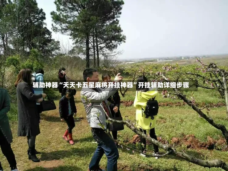 辅助神器“天天卡五星麻将开挂神器”开挂辅助详细步骤