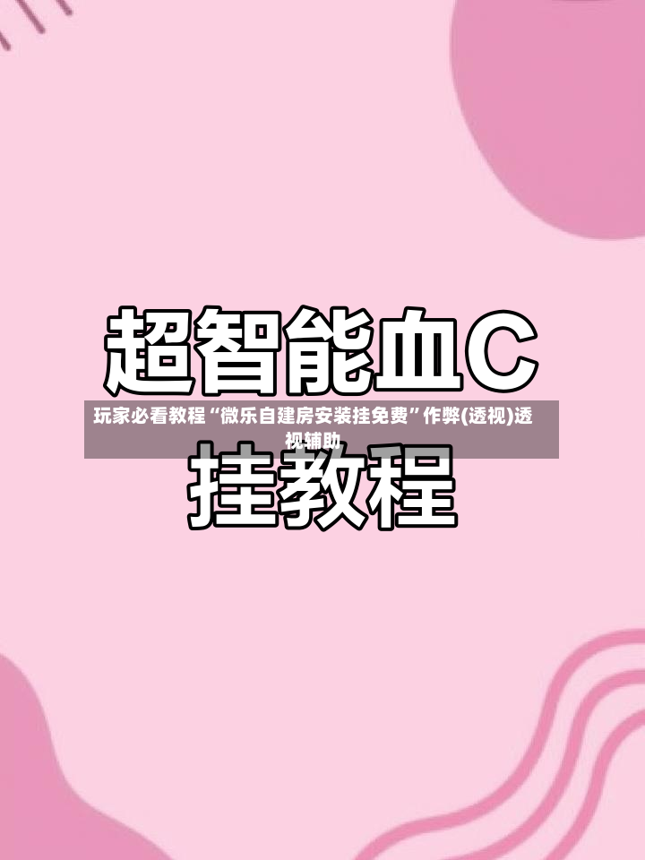 玩家必看教程“微乐自建房安装挂免费”作弊(透视)透视辅助-第2张图片