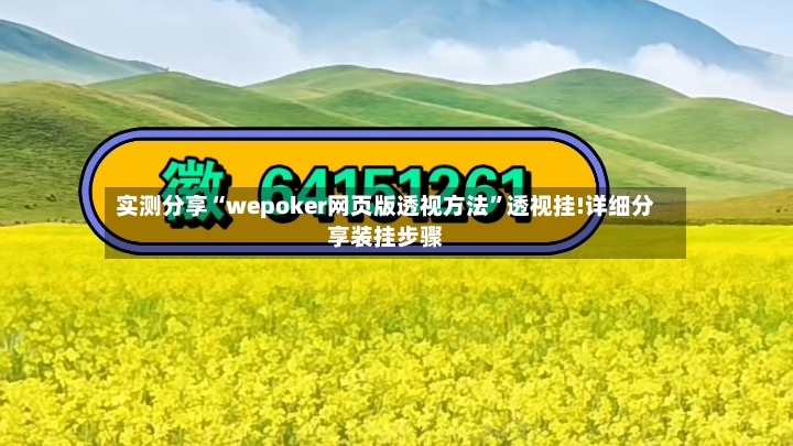 实测分享“wepoker网页版透视方法”透视挂!详细分享装挂步骤-第3张图片