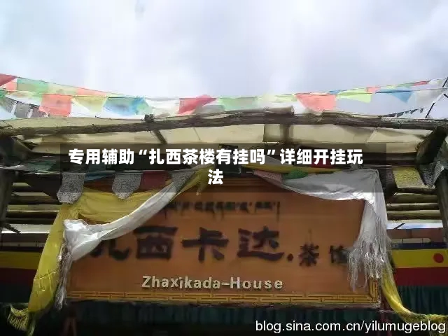 专用辅助“扎西茶楼有挂吗”详细开挂玩法-第3张图片