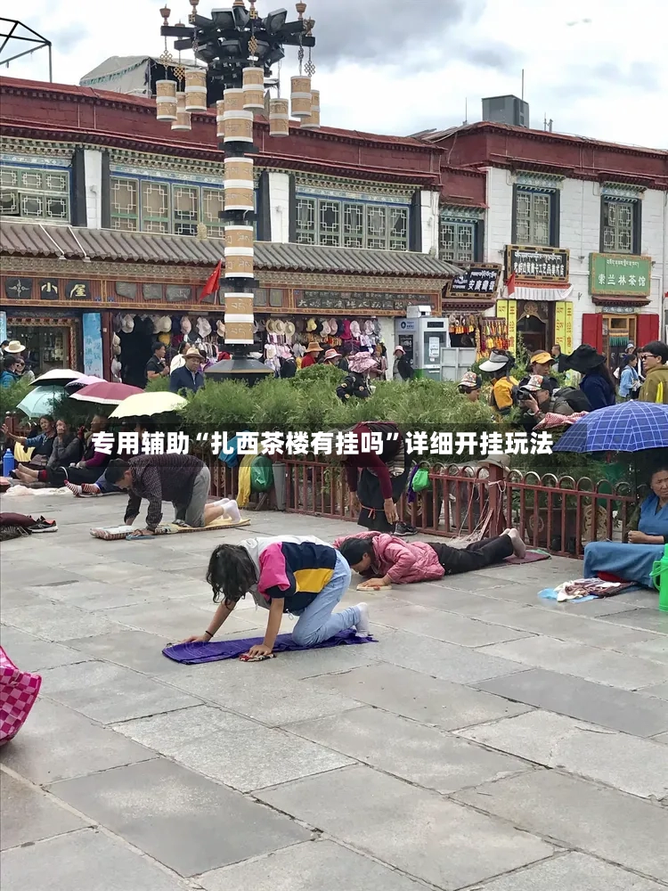 专用辅助“扎西茶楼有挂吗”详细开挂玩法-第2张图片