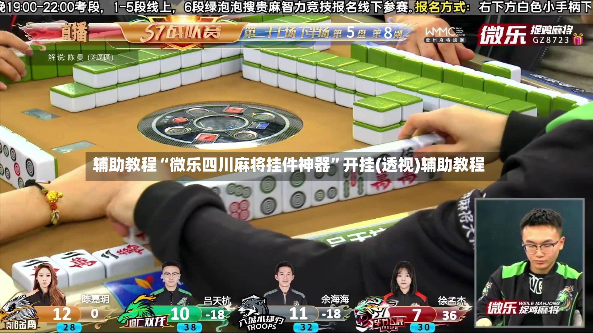 辅助教程“微乐四川麻将挂件神器”开挂(透视)辅助教程-第2张图片