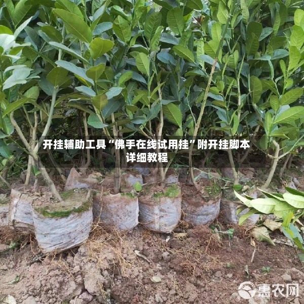 开挂辅助工具“佛手在线试用挂”附开挂脚本详细教程
