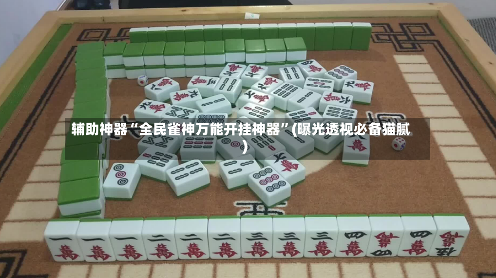 辅助神器“全民雀神万能开挂神器”(曝光透视必备猫腻)-第2张图片