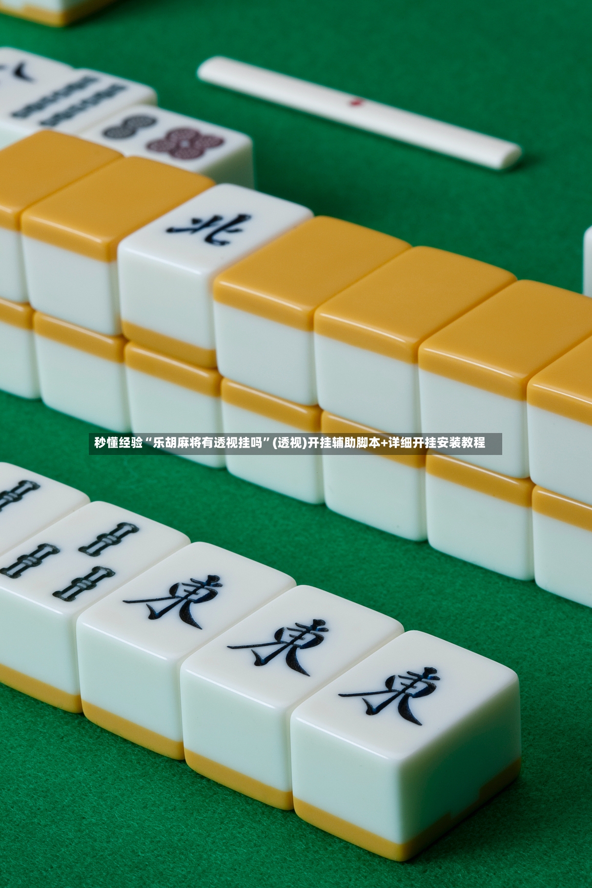 秒懂经验“乐胡麻将有透视挂吗”(透视)开挂辅助脚本+详细开挂安装教程-第3张图片