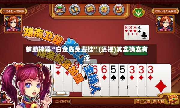 辅助神器“白金岛免费挂”(透视)其实确实有挂