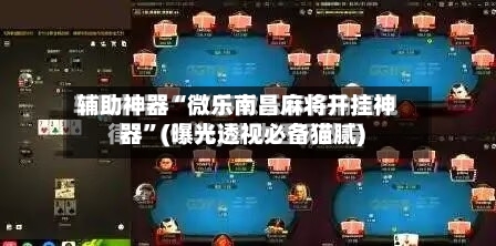 辅助神器“微乐南昌麻将开挂神器”(曝光透视必备猫腻)-第3张图片