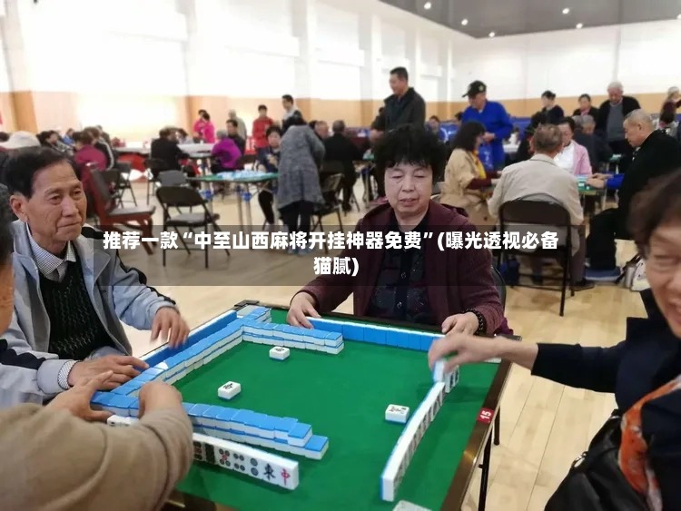 推荐一款“中至山西麻将开挂神器免费”(曝光透视必备猫腻)