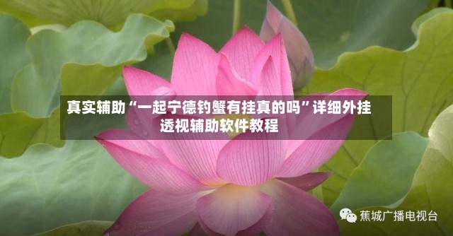 真实辅助“一起宁德钓蟹有挂真的吗”详细外挂透视辅助软件教程-第3张图片
