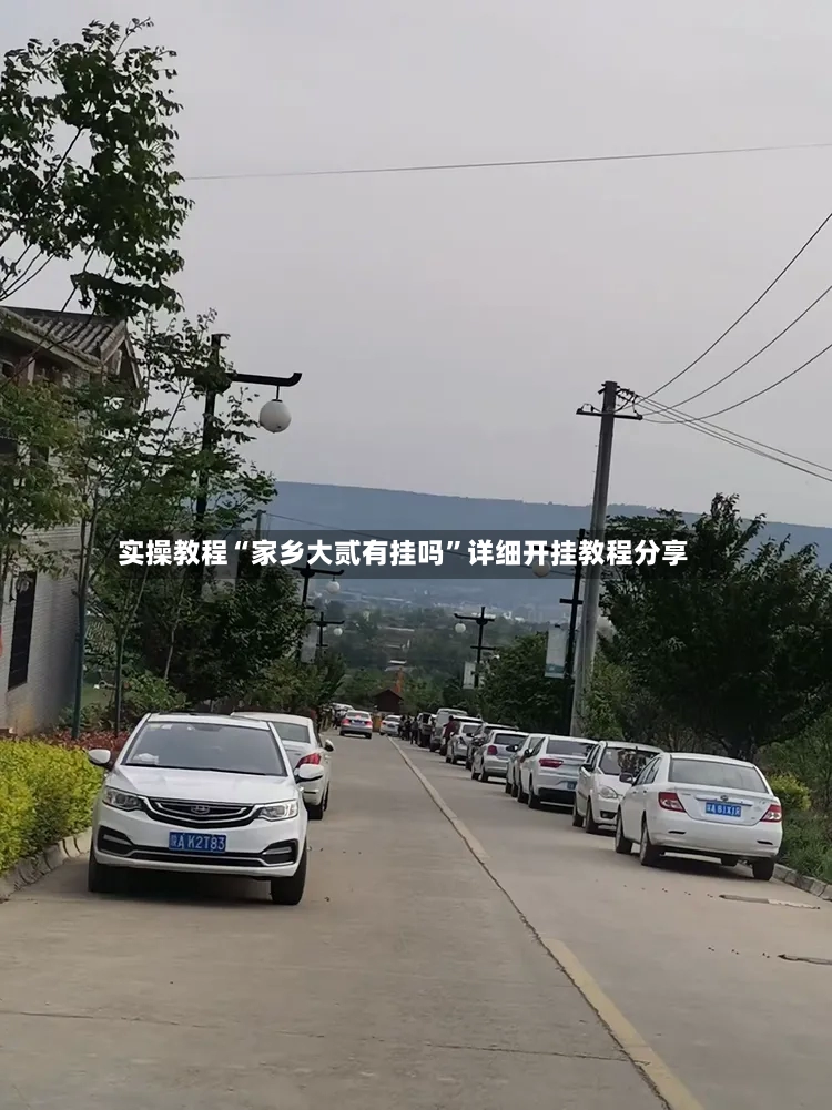 实操教程“家乡大贰有挂吗	”详细开挂教程分享-第3张图片