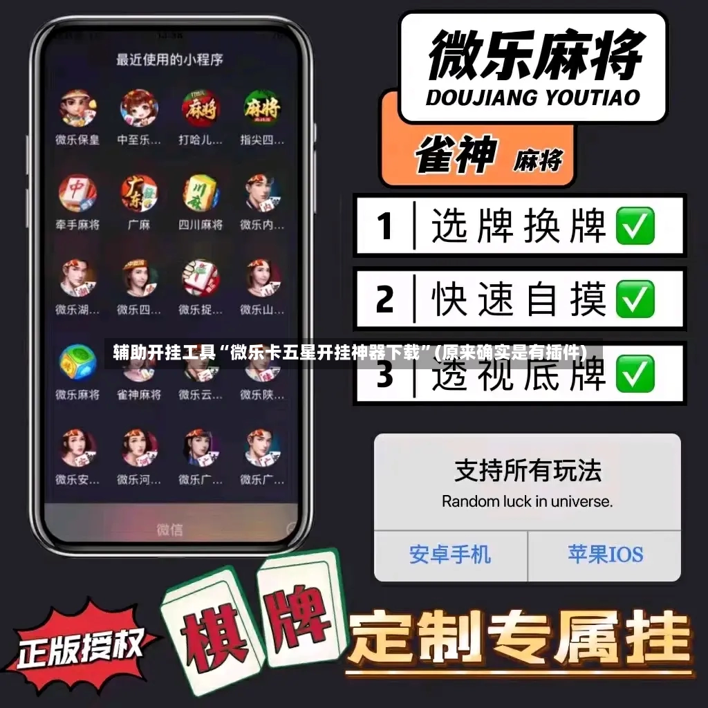 辅助开挂工具“微乐卡五星开挂神器下载”(原来确实是有插件)