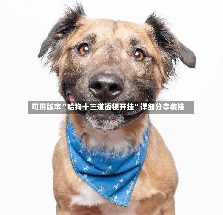 可用版本“哈狗十三道透视开挂”详细分享装挂