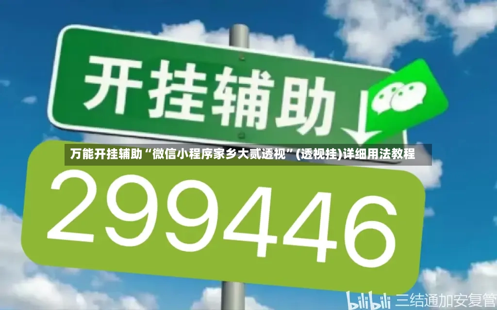 万能开挂辅助“微信小程序家乡大贰透视”(透视挂)详细用法教程-第3张图片