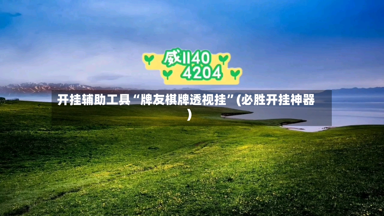 开挂辅助工具“牌友棋牌透视挂”(必胜开挂神器)-第3张图片