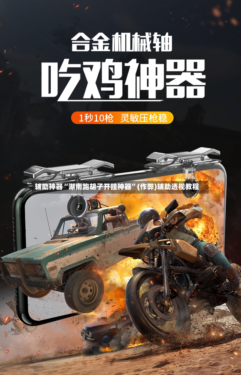 辅助神器“湖南跑胡子开挂神器”(作弊)辅助透视教程