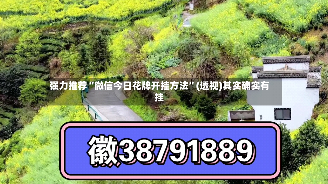 强力推荐“微信今日花牌开挂方法	”(透视)其实确实有挂-第2张图片