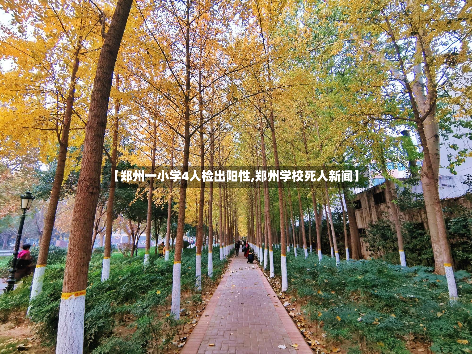 【郑州一小学4人检出阳性,郑州学校死人新闻】-第2张图片