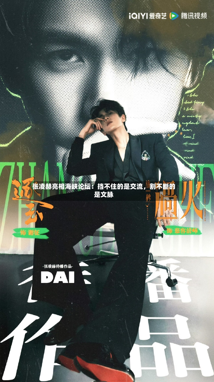 张凌赫亮相海峡论坛：挡不住的是交流，割不断的是文脉-第3张图片