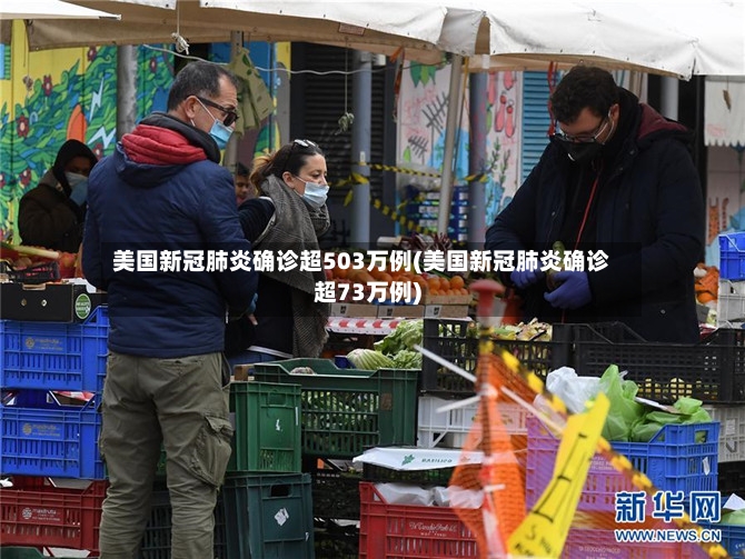 美国新冠肺炎确诊超503万例(美国新冠肺炎确诊超73万例)-第2张图片
