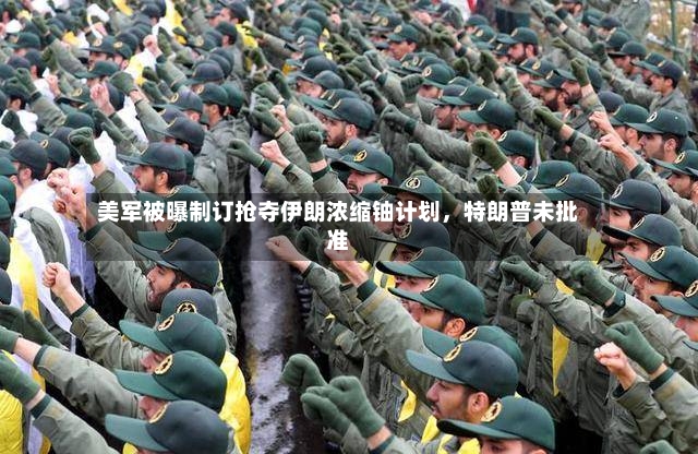 美军被曝制订抢夺伊朗浓缩铀计划	，特朗普未批准-第3张图片