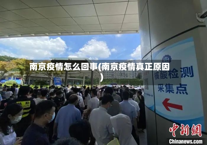 南京疫情怎么回事(南京疫情真正原因)-第2张图片