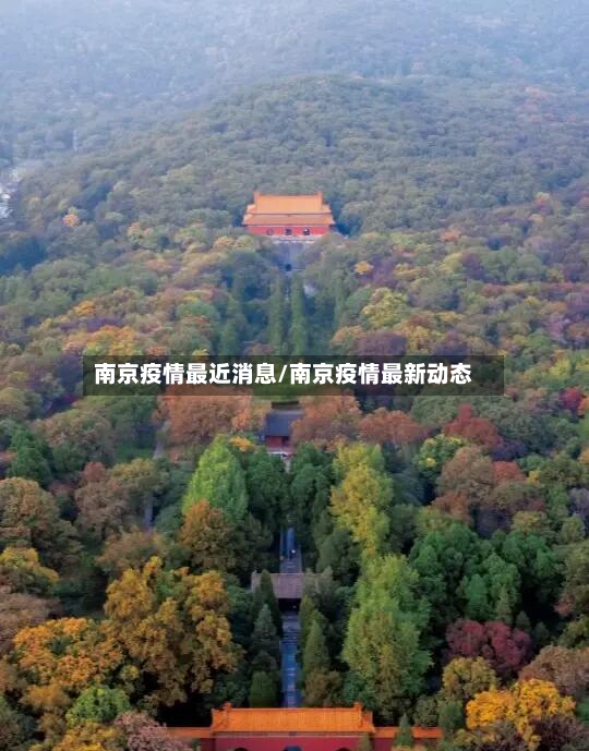 南京疫情最近消息/南京疫情最新动态-第2张图片