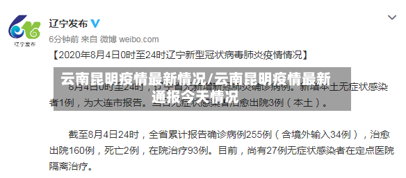 云南昆明疫情最新情况/云南昆明疫情最新通报今天情况-第3张图片