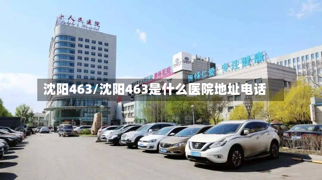 沈阳463/沈阳463是什么医院地址电话-第2张图片